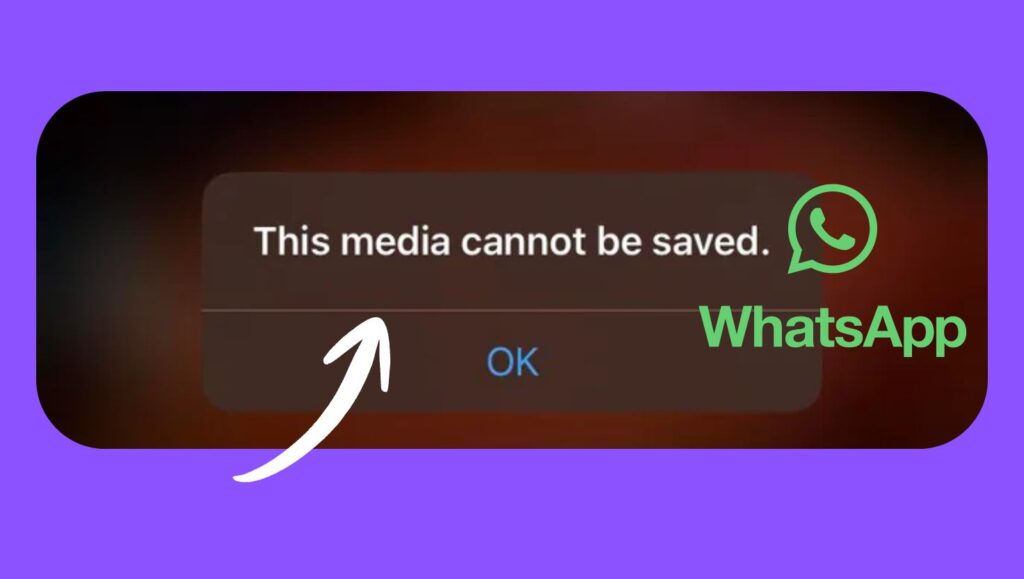 “This media cannot be saved” WhatsApp error