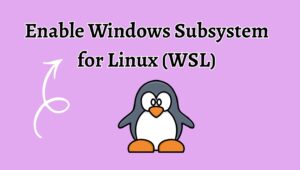 How to Enable Windows Subsystem for Linux (WSL)? [Easy Steps]