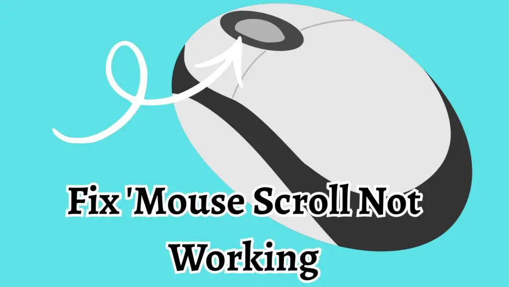 Fix 'Mouse Scroll Not Working
