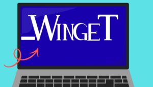 How to Install Winget (Windows Package Manager) on Windows 11/10?