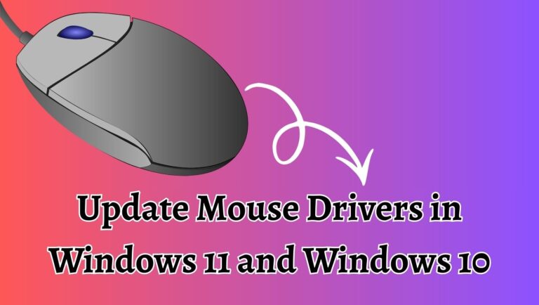 How to Update Mouse Drivers in Windows 11 and Windows 10?