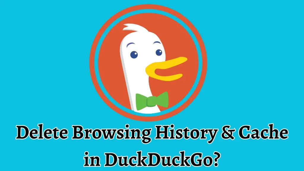 Delete Browsing History & Cache in DuckDuckGo?