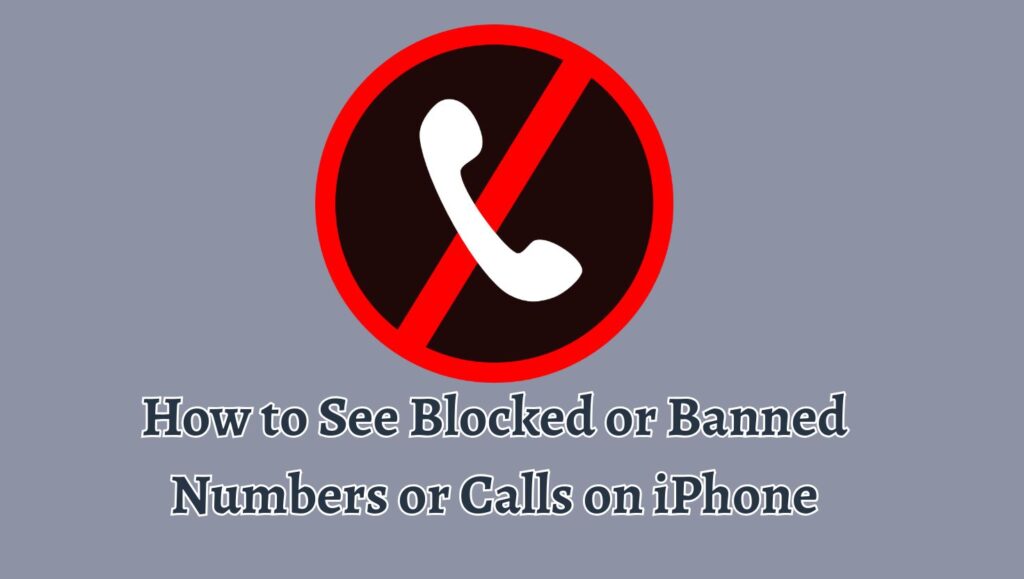 How to See Blocked or Banned Numbers or Calls on iPhone