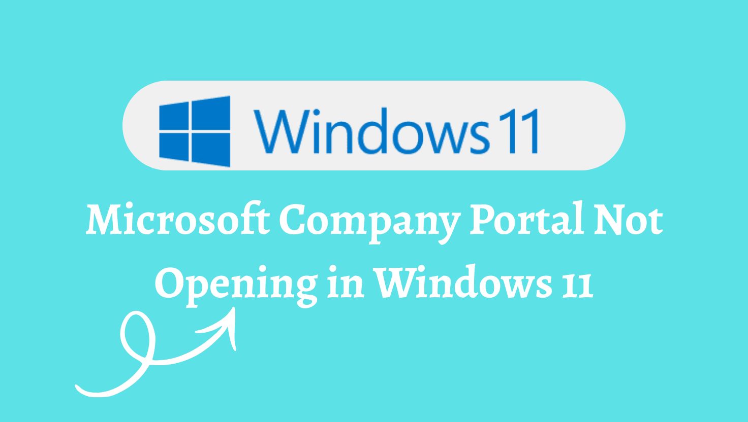 Microsoft Company Portal Not Opening in Windows 11