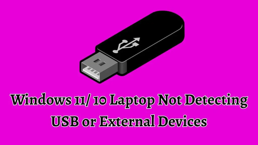 Windows 11/10 Laptop Not Detecting USB or External Devices