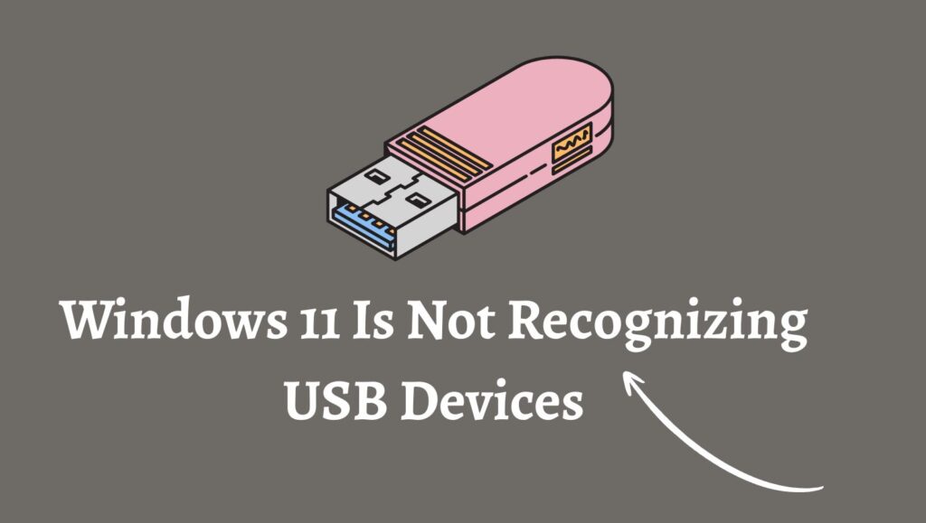 Windows 11 Is Not Recognizing USB Devices