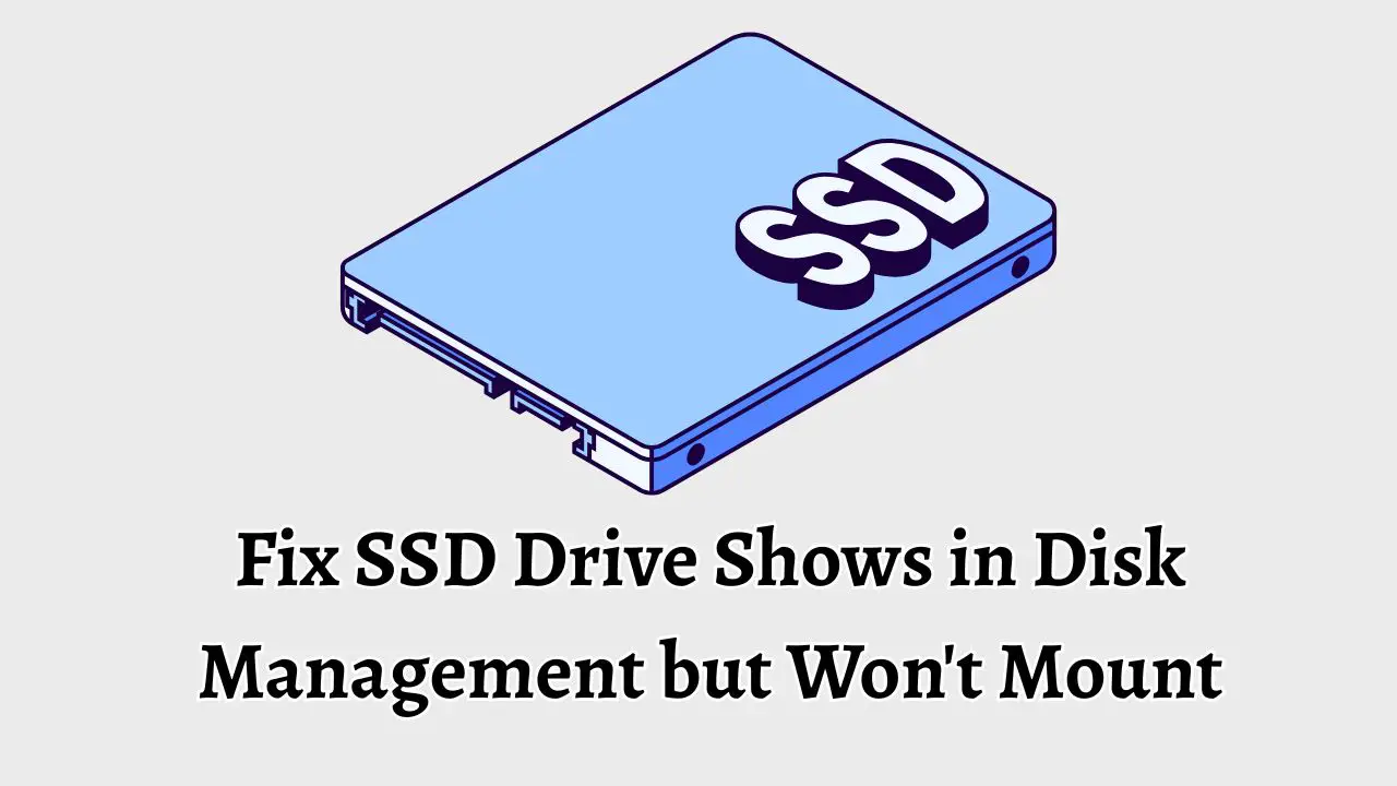 Fix SSD Drive Shows in Disk Management but Won't Mount