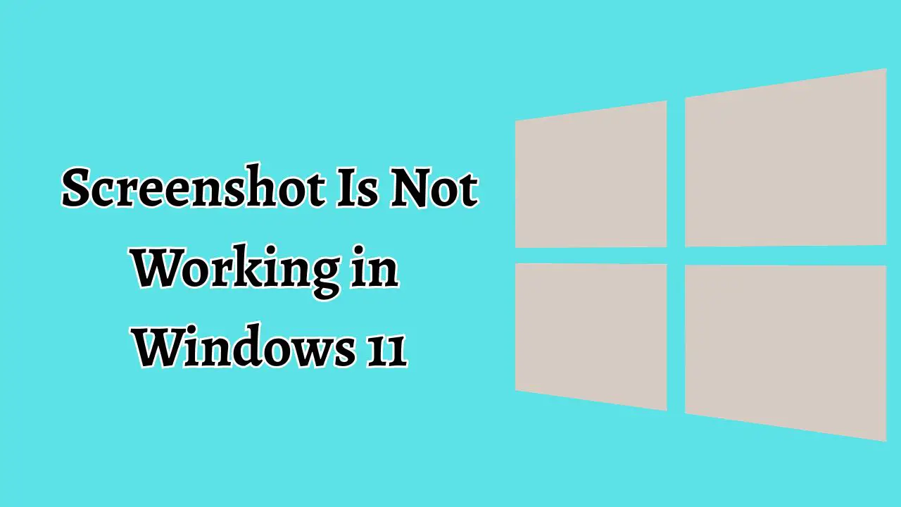 Screenshot Is Not Working in Windows 11