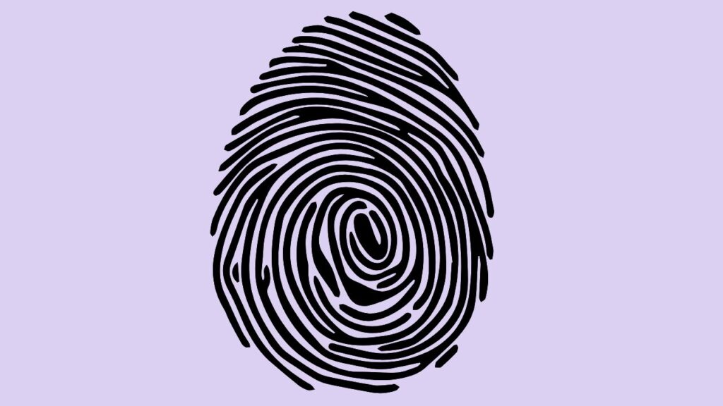 Fingerprint Reader Not Working in Windows 11 