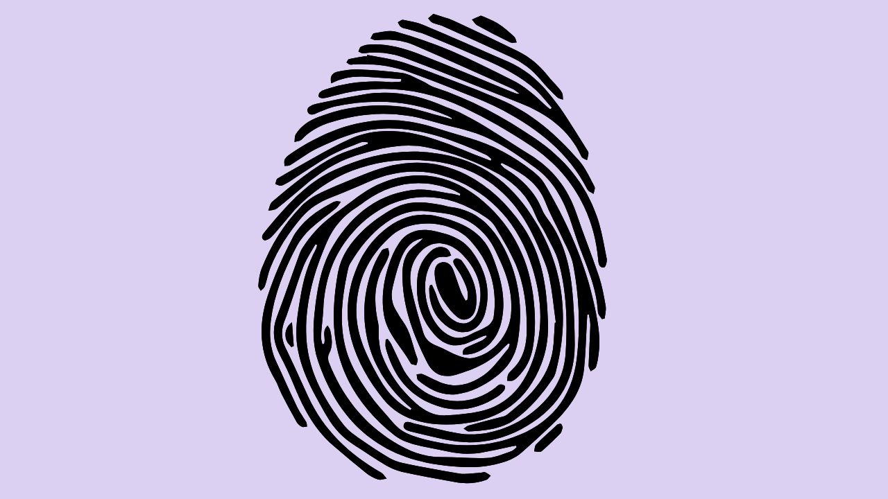 Fingerprint Reader Not Working in Windows 11