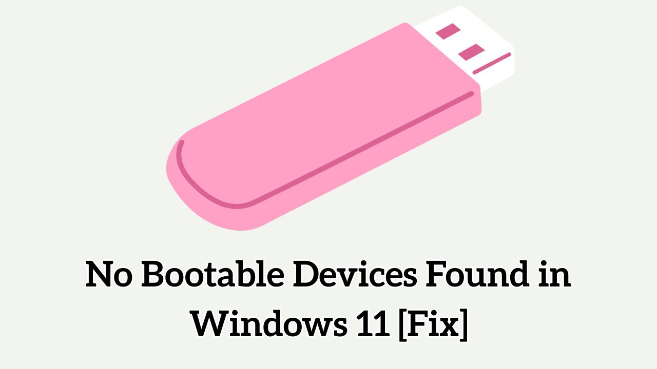 No Bootable Devices Found in Windows 11 [Fix]