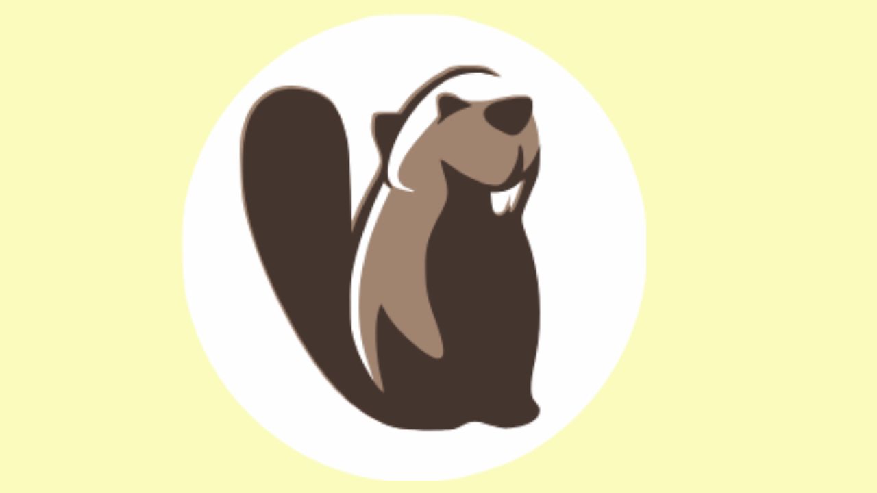 DBeaver Installation Guide on a Windows Device