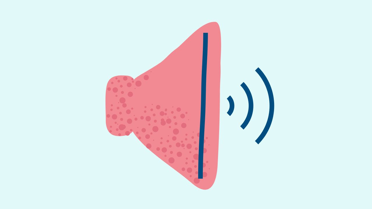 How to Perform Speaker Test in Windows 11 or 10